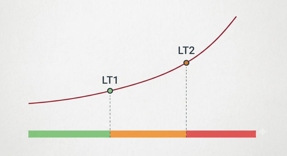 LT1 / LT2 與訓練區間模型：地圖不是地形